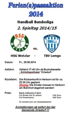 Ferienpassaktion 2014 - Handball Bundesliga HSG Weztlar